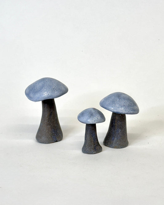 Sky Blue Mushroom Caps