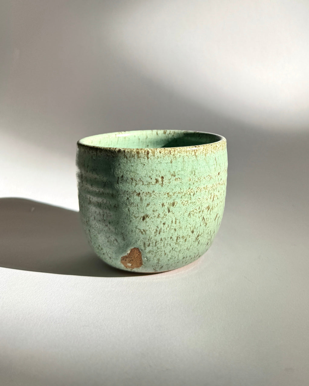 Tea Cup in Lichen
