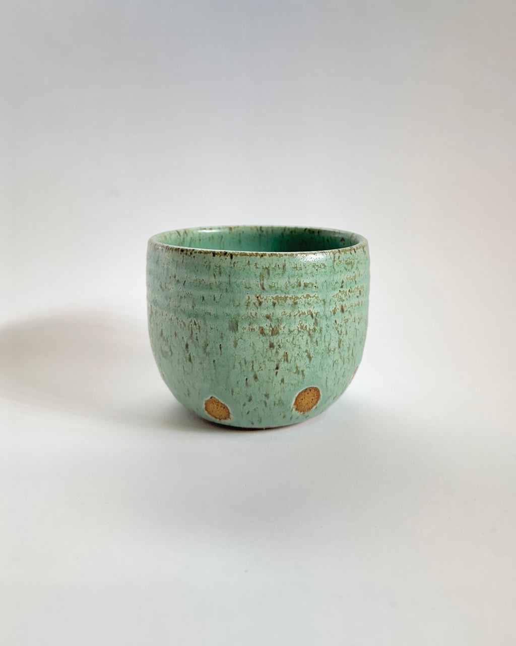 Tea Cup in Lichen