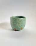 Tea Cup in Lichen