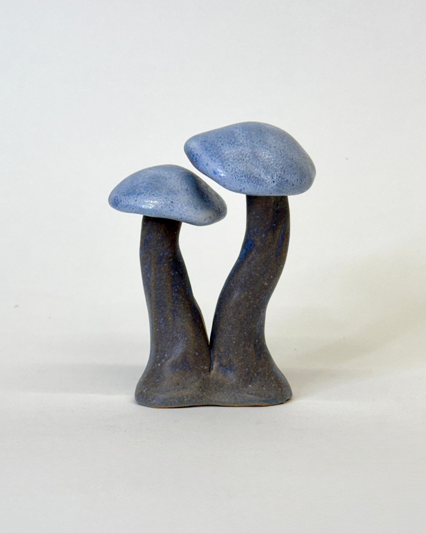 Sky Blue Mushroom Lovers